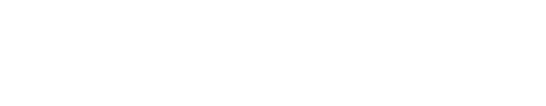 resumewriting.net logo white